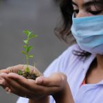 plant, seedling, nature-6257392.jpg
